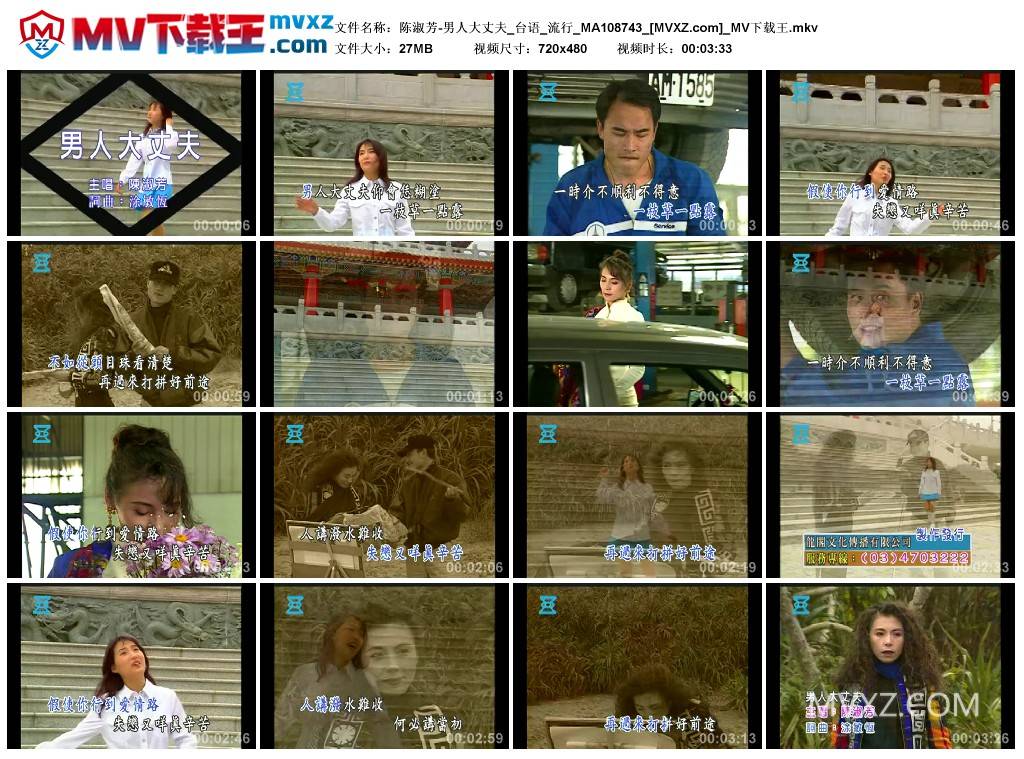 陈淑芳-男人大丈夫_台语_流行_MA108743